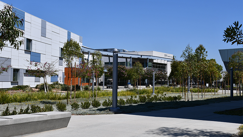 Outdoor photo of a building